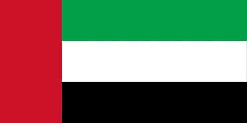 Dubai Flag