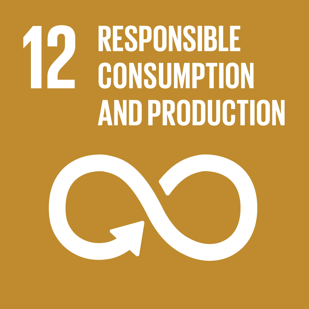 12. Responsible Consumption and Production